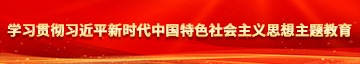 性爱粗大进入抽插学习贯彻习近平新时代中国特色社会主义思想主题教育